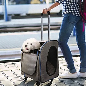 Liso Small Dog Trolley & Carrier