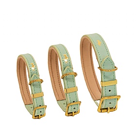 Storeys & Tails Padded Luxury Leather Dog Collars Mint