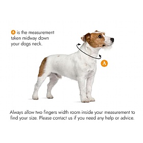 Padded Luxury Leather Dog Collars Sizing Guidelines