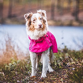 Rukka Hase Dog Raincoat Hot Pink