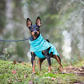 Rukka Hase Dog Raincoat Turquoise