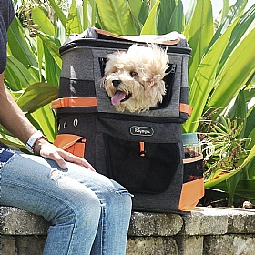 Two Tier Small Dog Travel Backpack