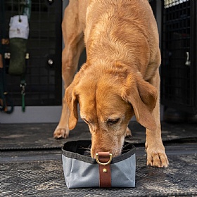 Ruff and Tumble Foldable Travel Dog Bowl Storm