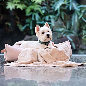 FuzzYard Life Reversible Dog Blanket Soft Blush