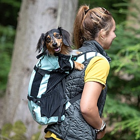 K9 Air 2 Dog Backpack Carrier