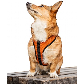 K9 Dog Harness