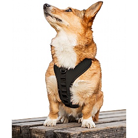 K9 Dog Harness