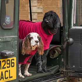 Ruff and Tumble Christmas Limited Edition Dog Drying Coats