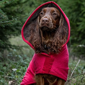 Ruff and Tumble Dog Drying Coats Raspberry and Dark Chocolate