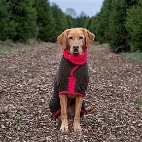 Ruff and Tumble Dog Drying Coats Dark Chocolate and Raspberry