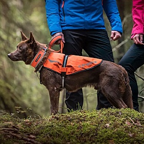 Ice Peak Prozone Reflective High Vis Dog Vest