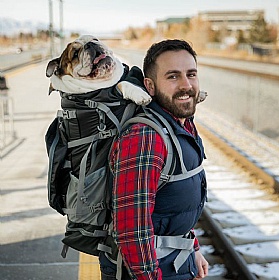 K9 Kolossus Large Dog Backpack Carrier