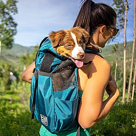 K9 Puppy and Small Dog Backpack Carrier