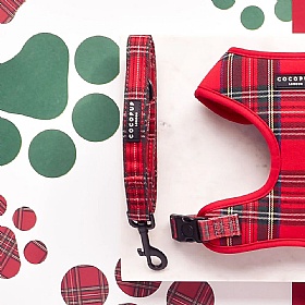 Cocopup London Red Tartan Dog Lead