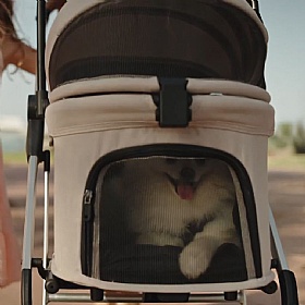 Beberoad T3 3-in-1 Small Dog Pram