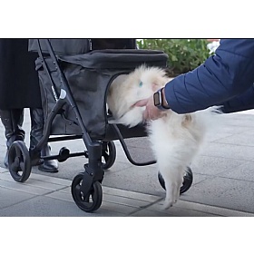 Beberoad T1 Double Decker Dog Pram Lower Cabin