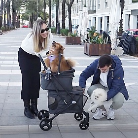 Beberoad T1 Double Decker Dog Pram Lifestyle