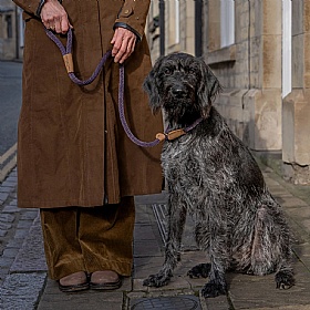 Ruff and Tumble Slip Dog Leads Blackberry