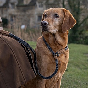 Ruff and Tumble Slip Dog Leads Charcoal