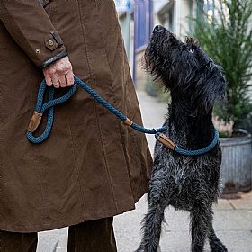 Ruff and Tumble Slip Dog Leads Sandringham Blue