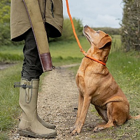 Ruff and Tumble Slip Dog Leads Tangerine