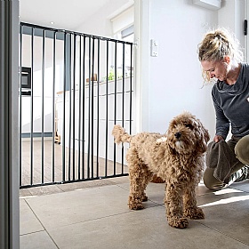 DogSpace Charlie Extra Tall Extending Pet Gate