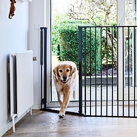 DogSpace Rocky Extra Tall Room Divider