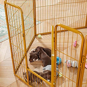 Metal Puppy Play Pen 80cm High