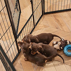 Metal Puppy Play Pen 80cm High