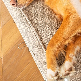 Essentials Herdwick Tough and Durable Dog Cushions